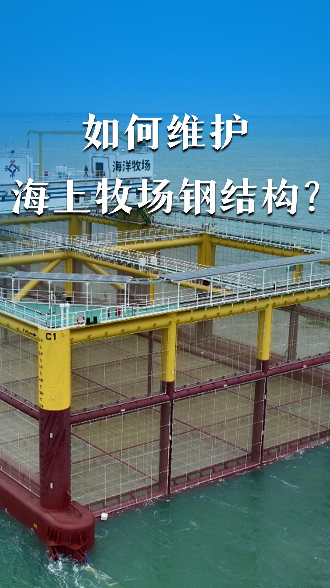 如何維護(hù)海上牧場鋼結(jié)構(gòu)？