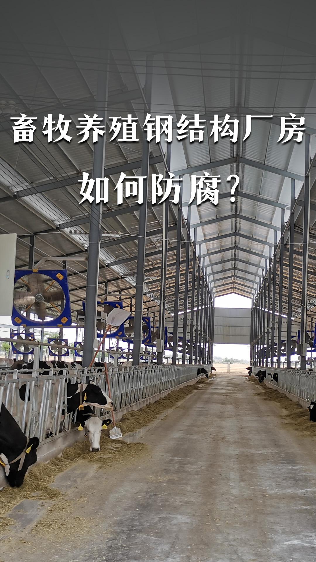 畜牧養(yǎng)殖鋼結(jié)構(gòu)廠房如何防腐？